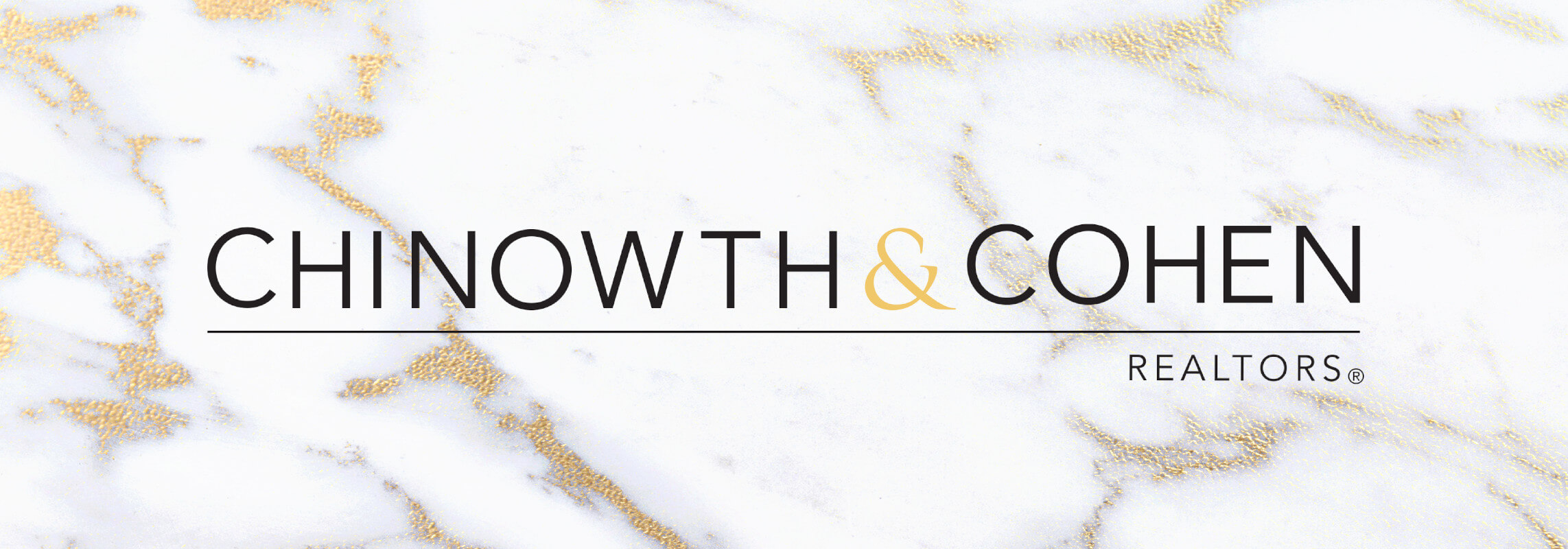 Kacie Stedman Banner